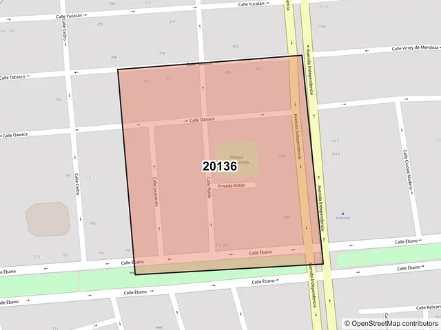 Mapa del código postal 20136, Aguascalientes, Aguascalientes