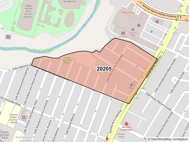 Mapa del código postal 20205, Aguascalientes, Aguascalientes