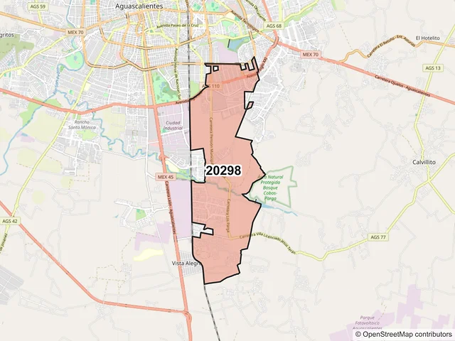 Mapa del código postal 20298, Aguascalientes, Aguascalientes