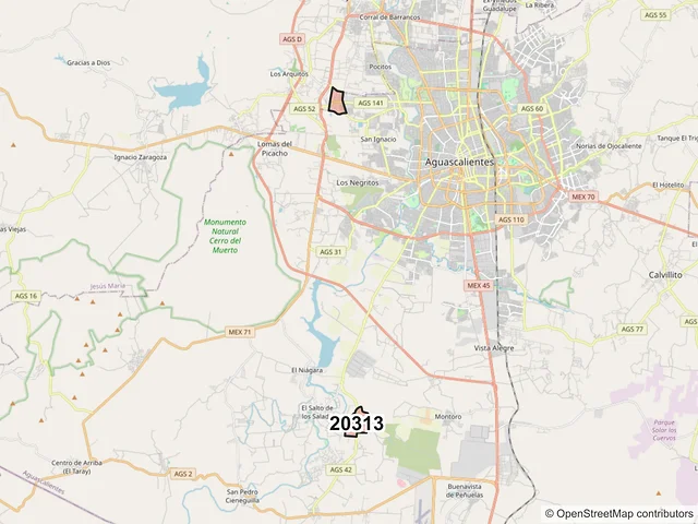 Mapa del código postal 20313, Aguascalientes, Aguascalientes