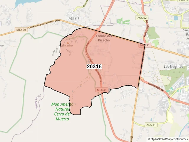 Mapa del código postal 20316, Aguascalientes, Aguascalientes