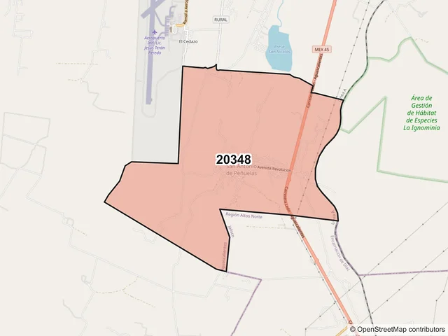 Mapa del código postal 20348, Aguascalientes, Aguascalientes