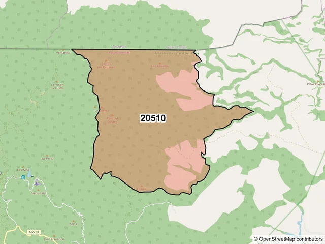 Mapa del código postal 20510, San José de Gracia, Aguascalientes