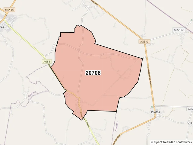 Mapa del código postal 20708, Asientos, Aguascalientes