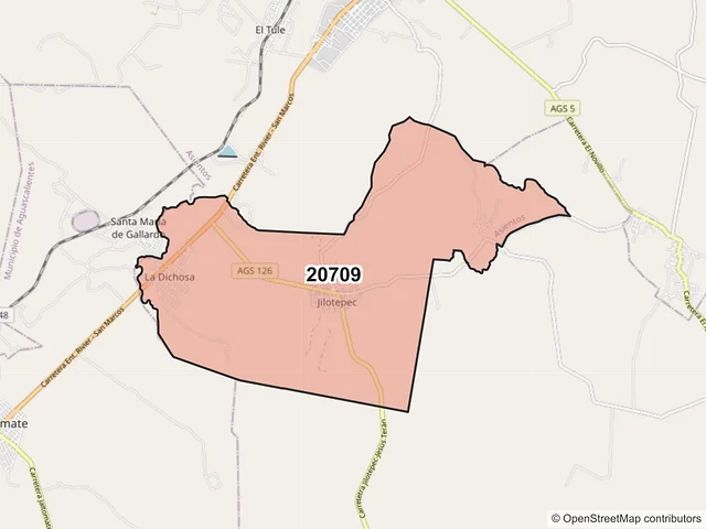 Mapa del código postal 20709, Asientos, Aguascalientes