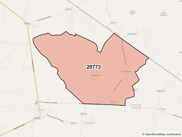 Mapa del código postal 20773, Asientos, Aguascalientes