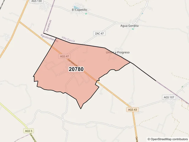 Mapa del código postal 20780, Asientos, Aguascalientes