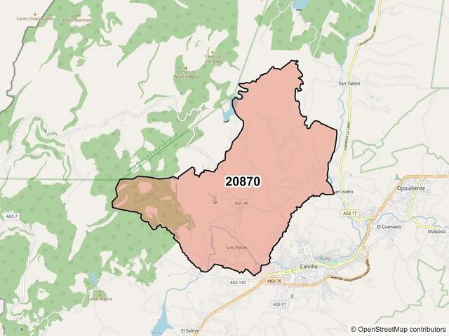 Mapa del código postal 20870, Calvillo, Aguascalientes