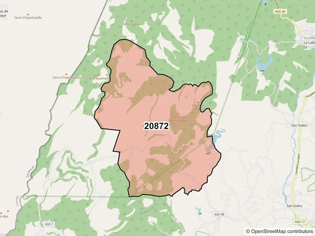 Mapa del código postal 20872, Calvillo, Aguascalientes
