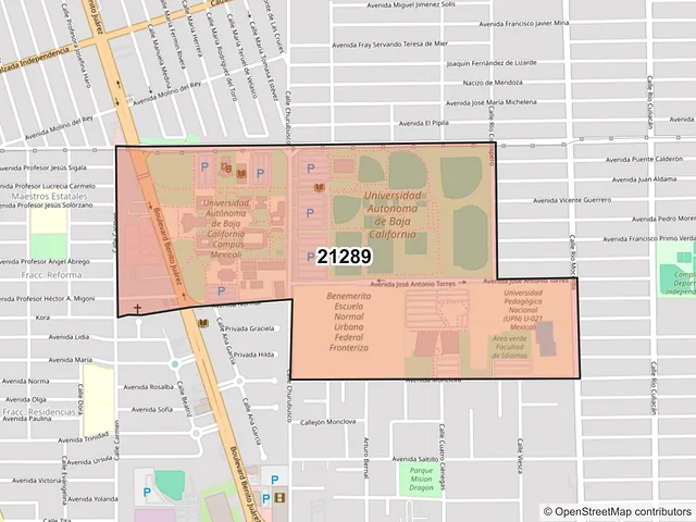 Mapa del código postal 21289, Mexicali, Baja California
