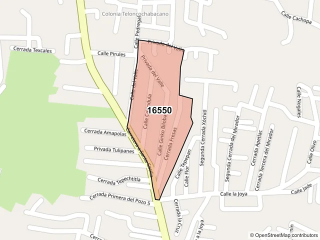 Mapa del código postal 16550, Xochimilco, Ciudad de México