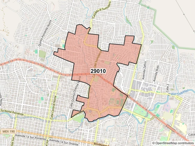 Mapa del código postal 29010, Tuxtla Gutiérrez, Chiapas