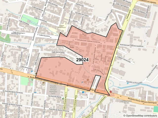 Mapa del código postal 29024, Tuxtla Gutiérrez, Chiapas