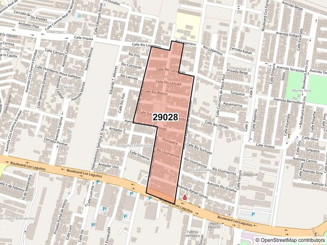 Mapa del código postal 29028, Tuxtla Gutiérrez, Chiapas