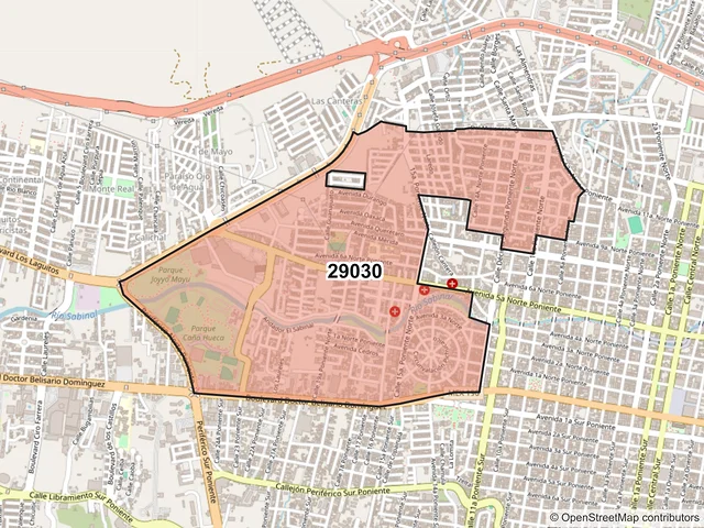Mapa del código postal 29030, Tuxtla Gutiérrez, Chiapas