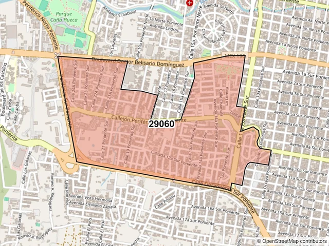 Mapa del código postal 29060, Tuxtla Gutiérrez, Chiapas