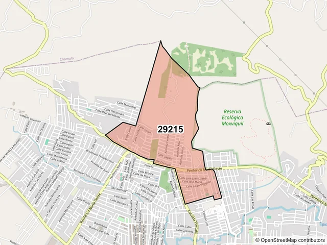 Mapa del código postal 29215, San Cristóbal de las Casas, Chiapas