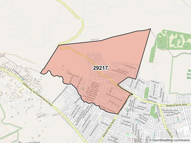 Mapa del código postal 29217, San Cristóbal de las Casas, Chiapas