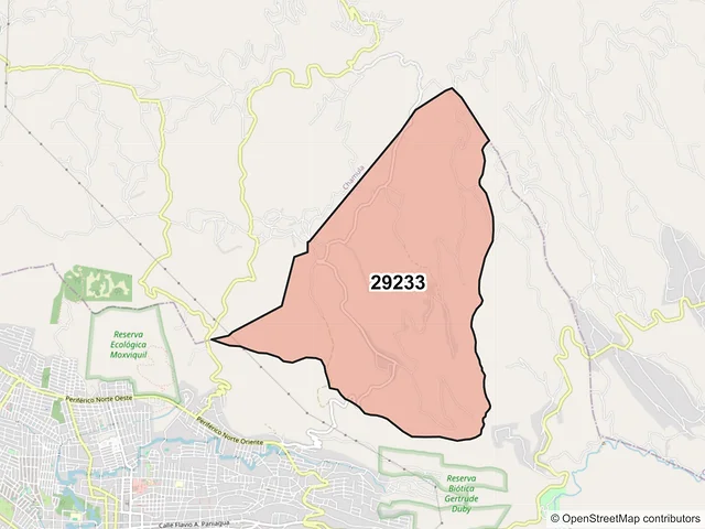 Mapa del código postal 29233, San Cristóbal de las Casas, Chiapas