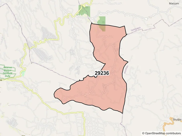 Mapa del código postal 29236, San Cristóbal de las Casas, Chiapas