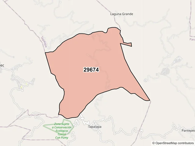 Mapa del código postal 29674, Tapalapa, Chiapas