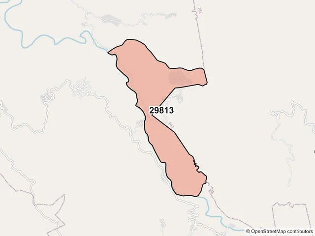 Mapa del código postal 29813, Sabanilla, Chiapas