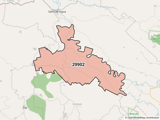 Mapa del código postal 29902, Salto de Agua, Chiapas