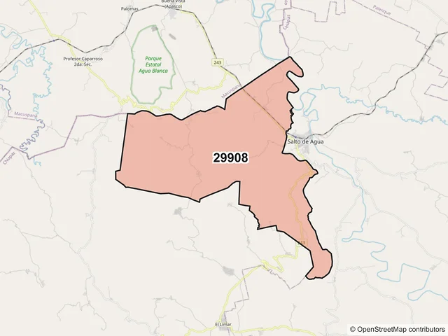 Mapa del código postal 29908, Salto de Agua, Chiapas