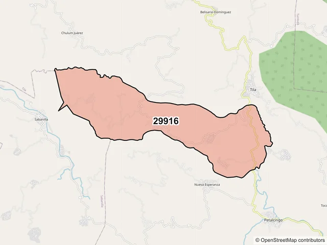 Mapa del código postal 29916, Tila, Chiapas