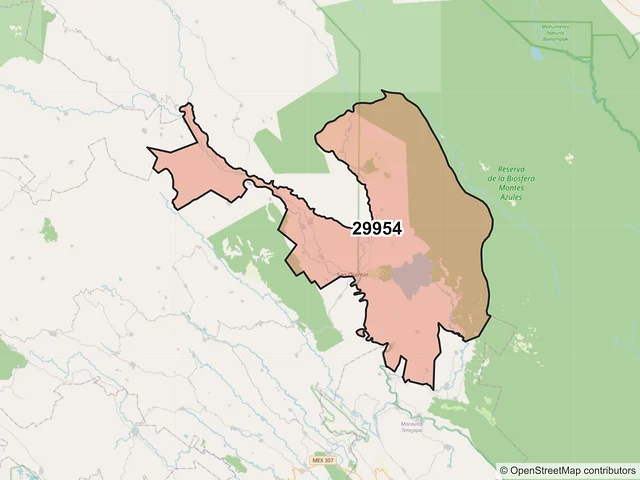 Mapa del código postal 29954, Ocosingo, Chiapas