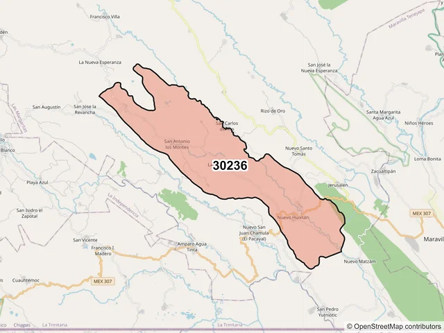 Mapa del código postal 30236, Las Margaritas, Chiapas