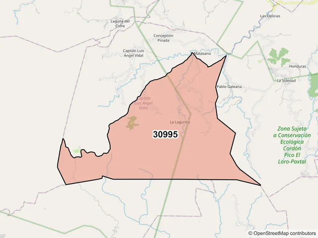 Mapa del código postal 30995, Capitán Luis Ángel Vidal, Chiapas