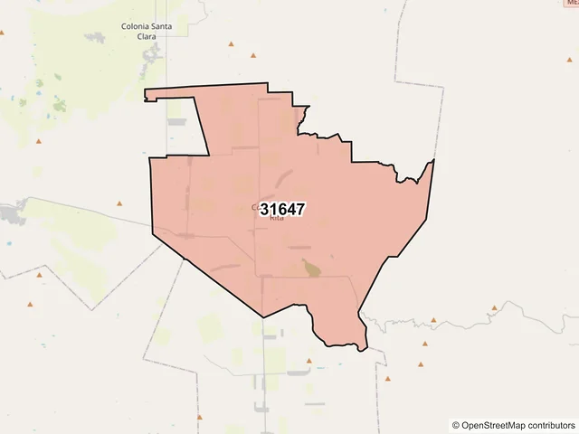 Mapa del código postal 31647, Riva Palacio, Chihuahua