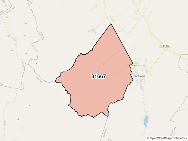 Mapa del código postal 31667, Bachíniva, Chihuahua