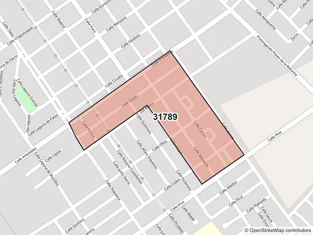 Mapa del código postal 31789, Nuevo Casas Grandes, Chihuahua