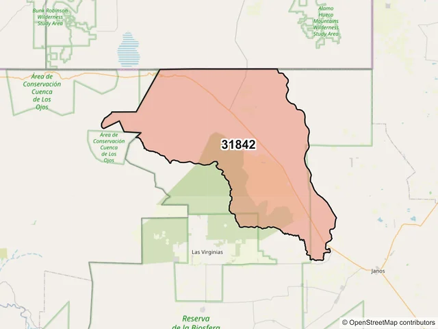 Mapa del código postal 31842, Janos, Chihuahua