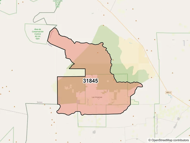 Mapa del código postal 31845, Janos, Chihuahua