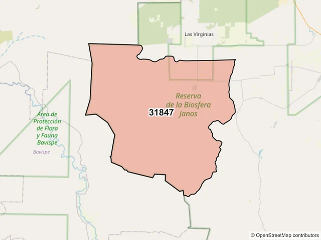 Mapa del código postal 31847, Janos, Chihuahua