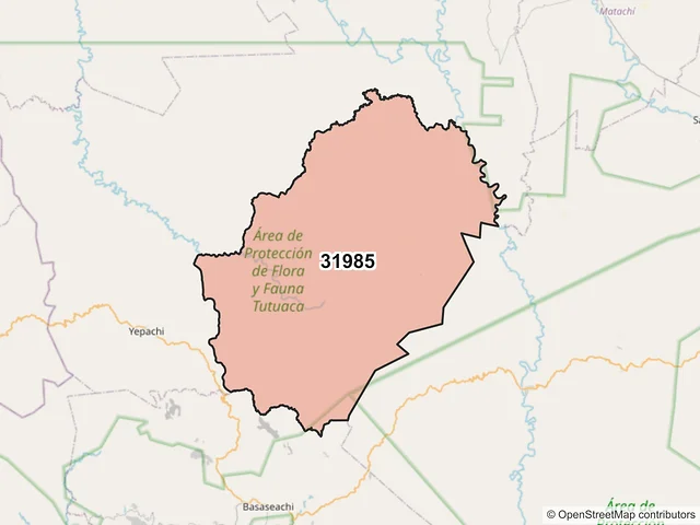 Mapa del código postal 31985, Temósachic, Chihuahua