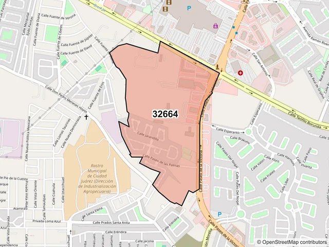 Mapa del código postal 32664, Juárez, Chihuahua