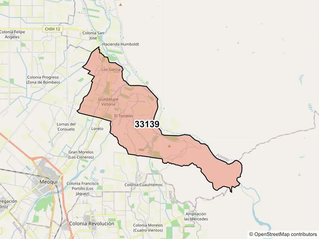 Mapa del código postal 33139, Meoqui, Chihuahua