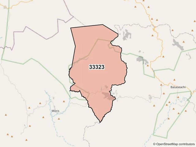 Mapa del código postal 33323, Ocampo, Chihuahua
