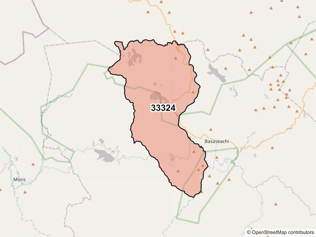 Mapa del código postal 33324, Ocampo, Chihuahua