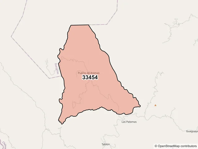 Mapa del código postal 33454, Morelos, Chihuahua