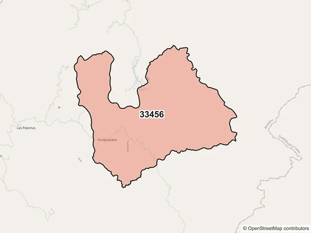 Mapa del código postal 33456, Morelos, Chihuahua