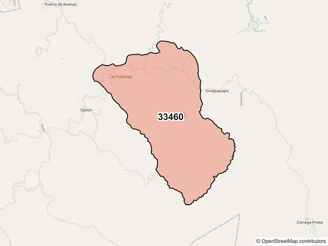 Mapa del código postal 33460, Morelos, Chihuahua