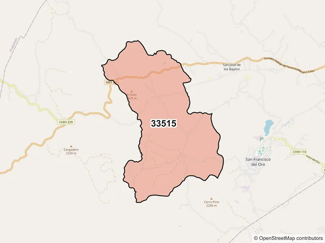 Mapa del código postal 33515, San Francisco del Oro, Chihuahua