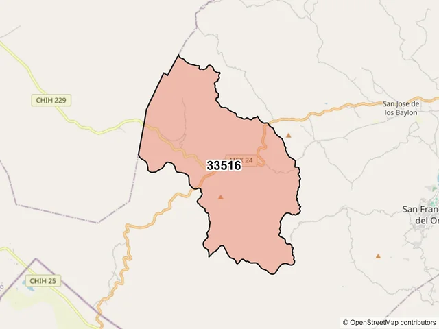 Mapa del código postal 33516, San Francisco del Oro, Chihuahua