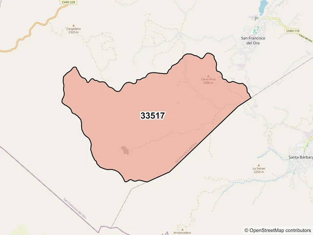 Mapa del código postal 33517, San Francisco del Oro, Chihuahua