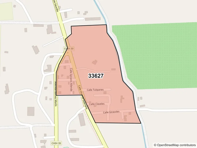 Mapa del código postal 33627, Saucillo, Chihuahua
